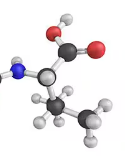 Amino Acid Peptide