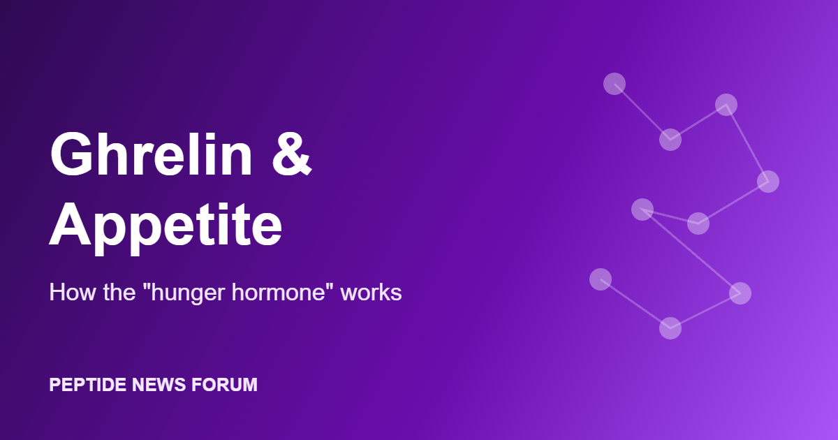 Ghrelin and appetite: how the hunger hormone works